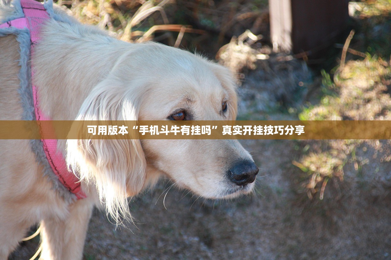 可用版本“手机斗牛有挂吗	”真实开挂技巧分享