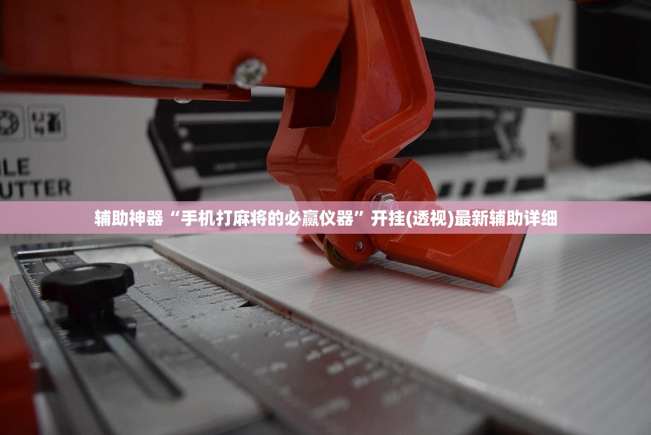 辅助神器“手机打麻将的必赢仪器”开挂(透视)最新辅助详细