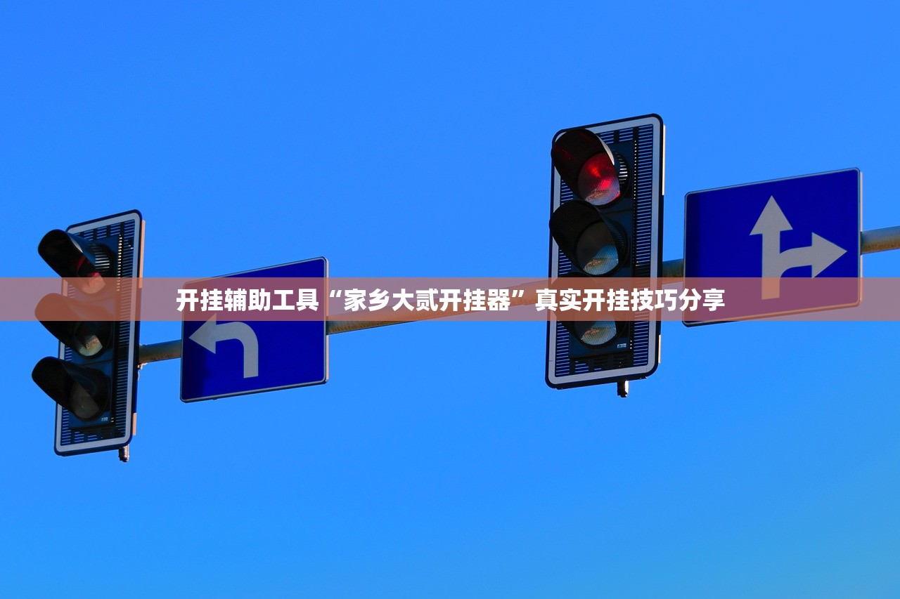 开挂辅助工具“家乡大贰开挂器”真实开挂技巧分享