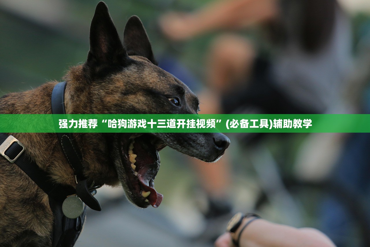 强力推荐“哈狗游戏十三道开挂视频	”(必备工具)辅助教学