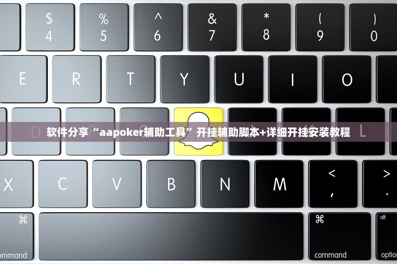软件分享“aapoker辅助工具”开挂辅助脚本+详细开挂安装教程