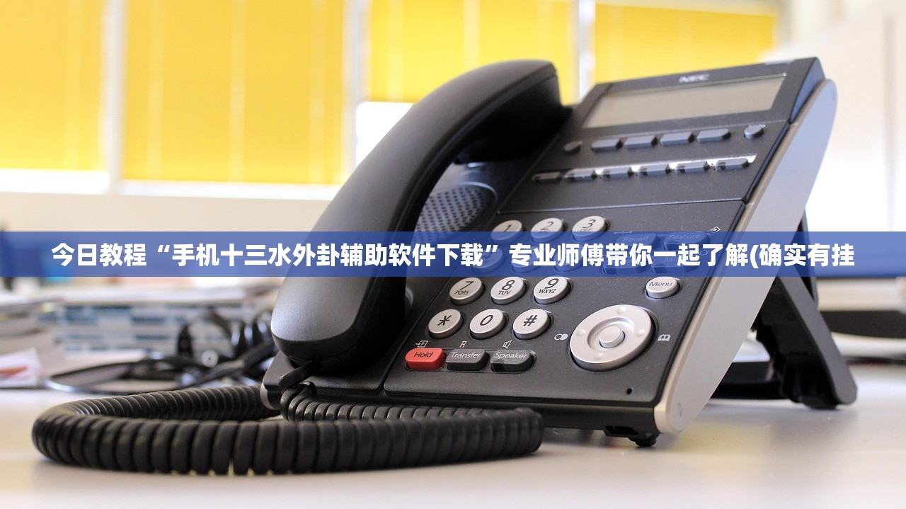今日教程“手机十三水外卦辅助软件下载”专业师傅带你一起了解(确实有挂