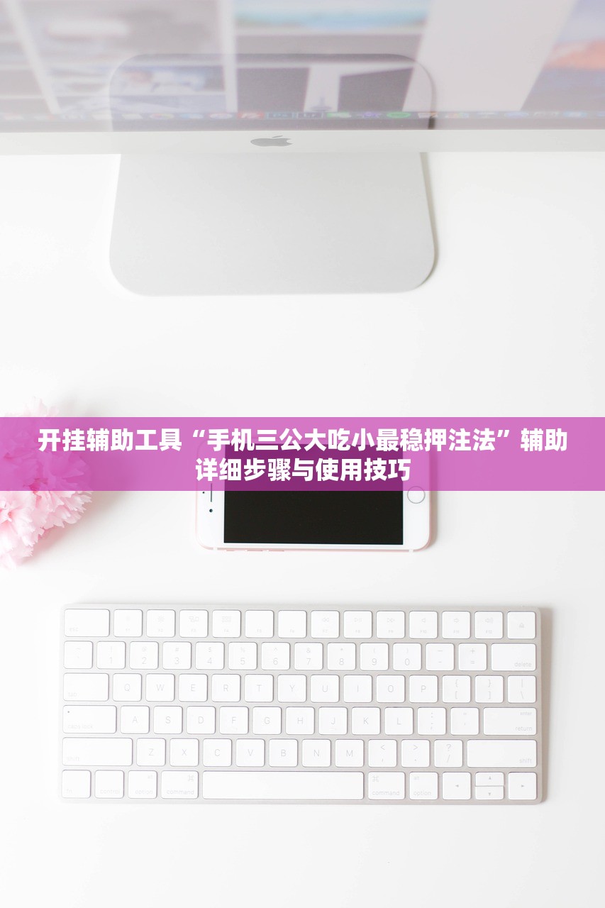 开挂辅助工具“手机三公大吃小最稳押注法	”辅助详细步骤与使用技巧