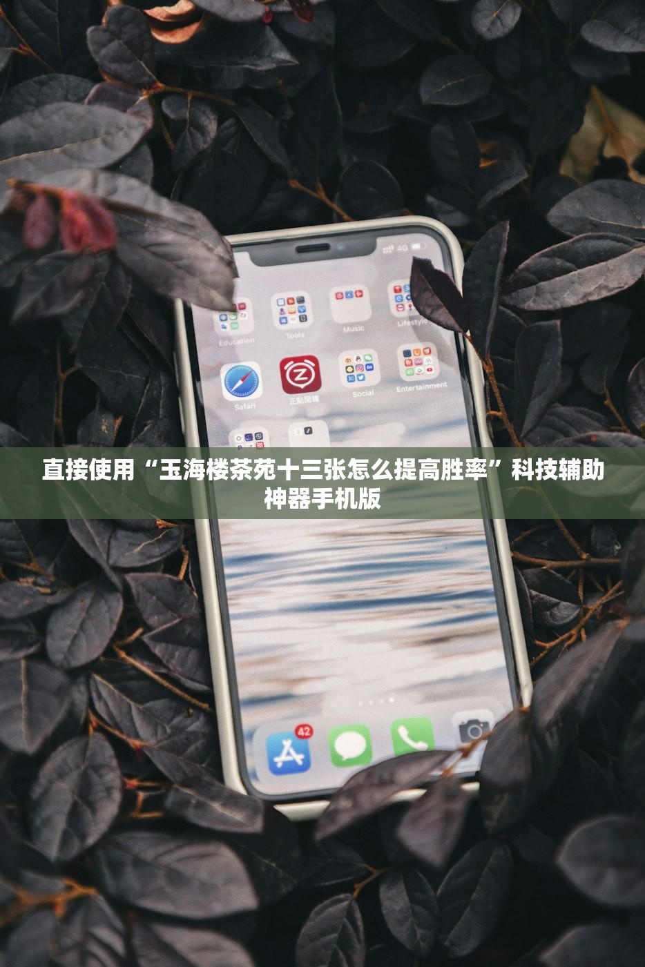 直接使用“玉海楼茶苑十三张怎么提高胜率”科技辅助神器手机版