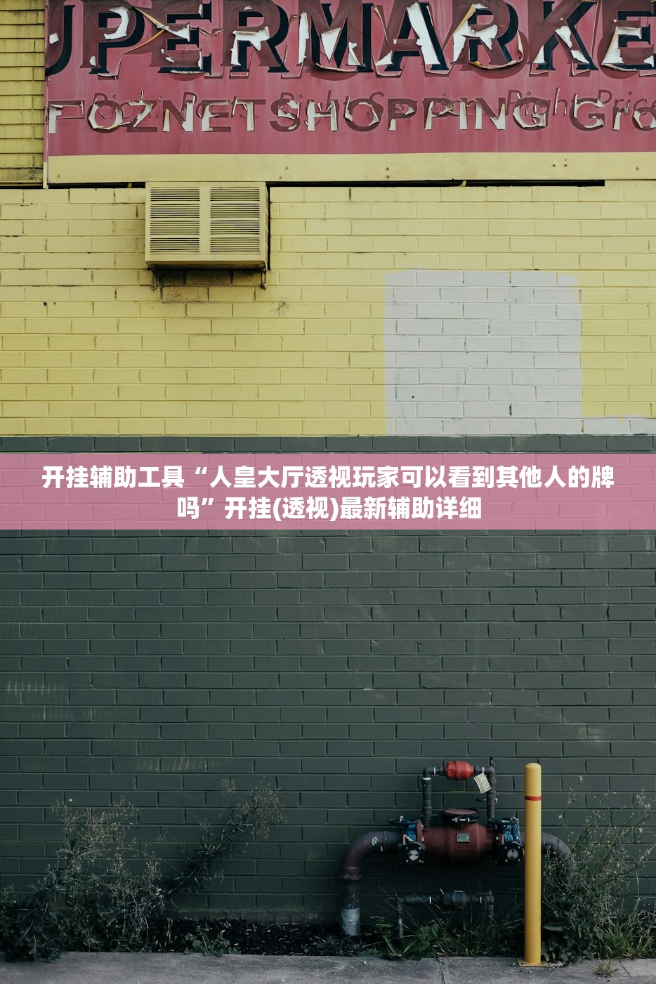 开挂辅助工具“人皇大厅透视玩家可以看到其他人的牌吗	”开挂(透视)最新辅助详细