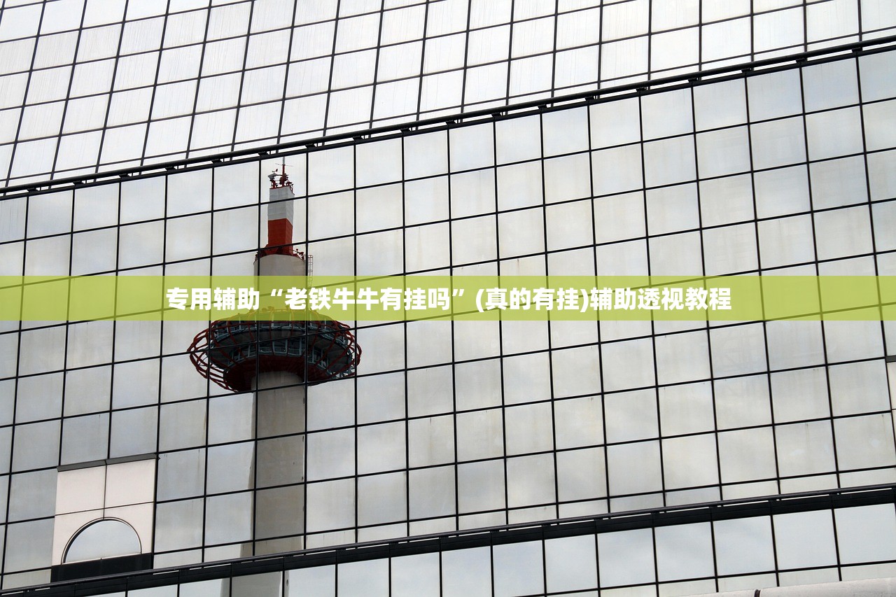 专用辅助“老铁牛牛有挂吗”(真的有挂)辅助透视教程