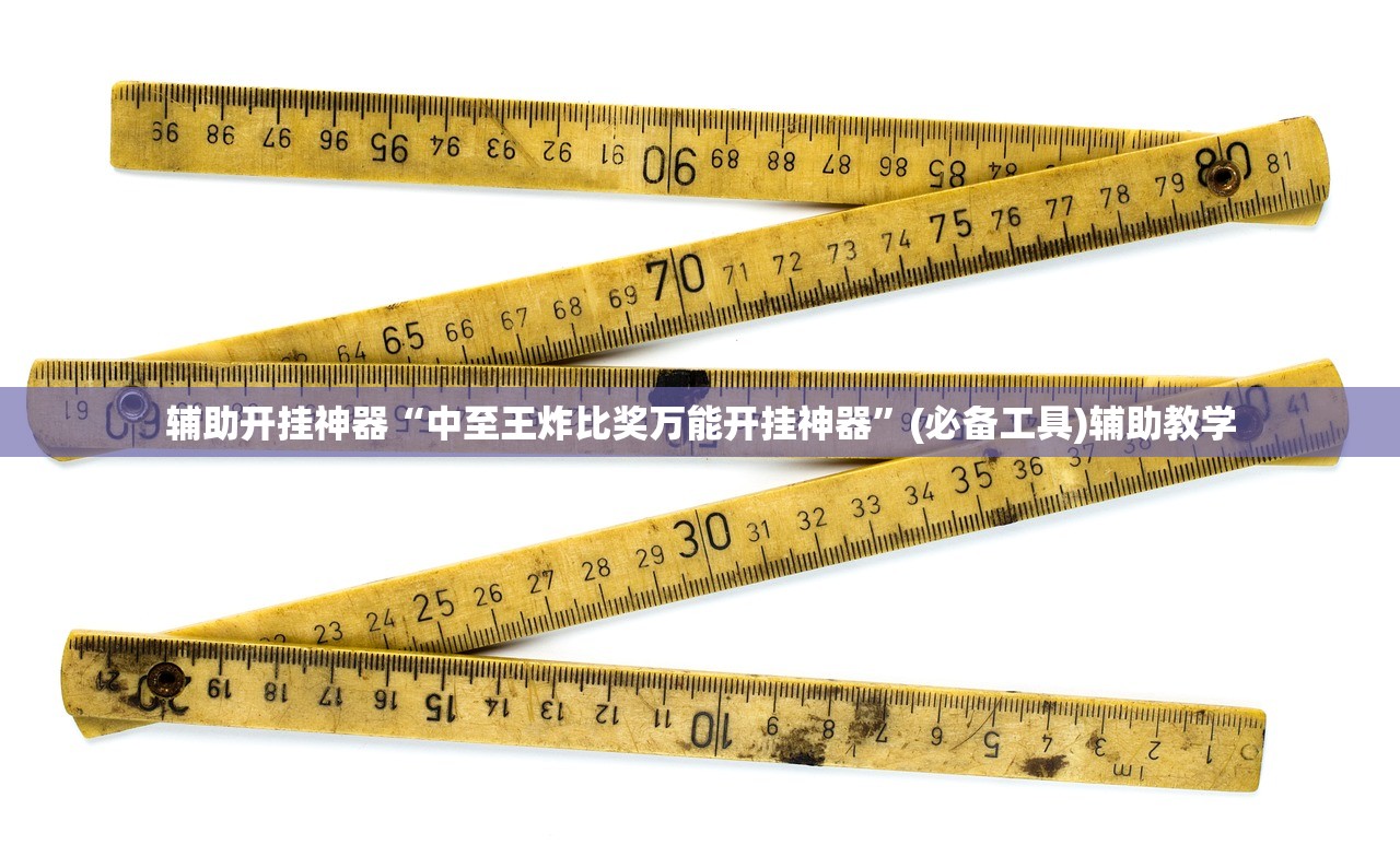 辅助开挂神器“中至王炸比奖万能开挂神器”(必备工具)辅助教学