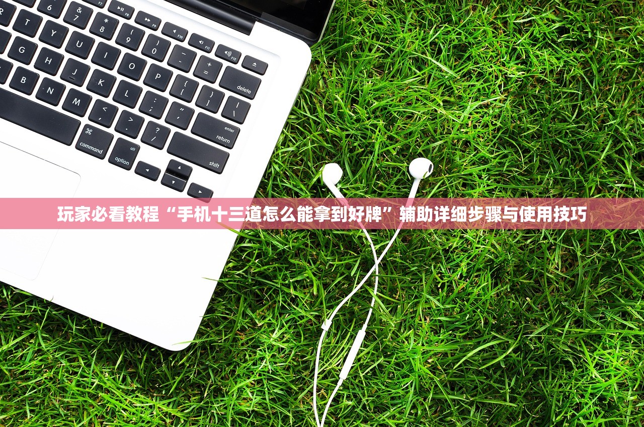 玩家必看教程“手机十三道怎么能拿到好牌”辅助详细步骤与使用技巧