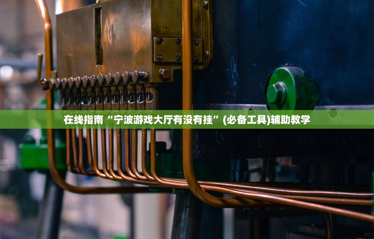 在线指南“宁波游戏大厅有没有挂”(必备工具)辅助教学
