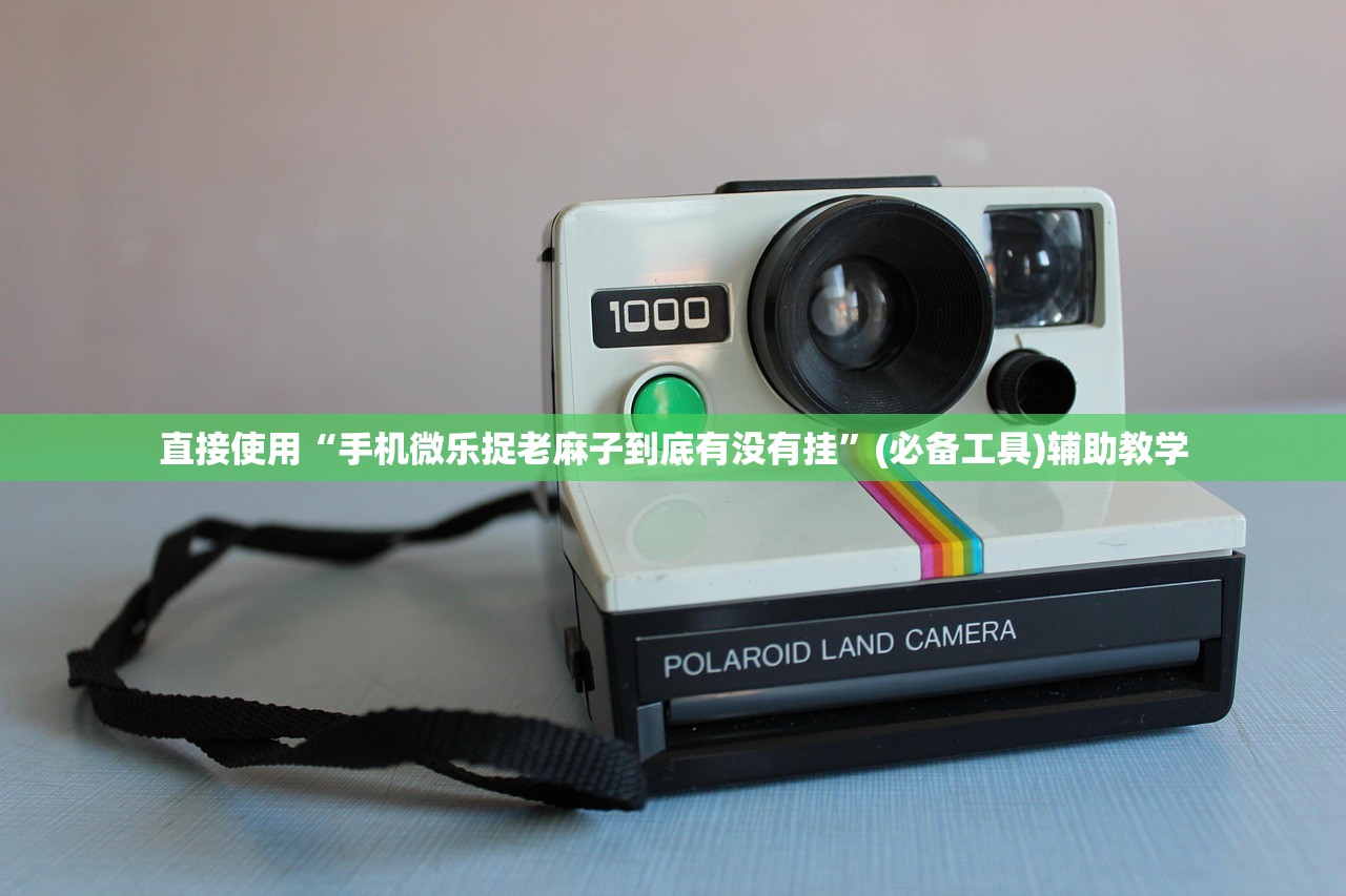 直接使用“手机微乐捉老麻子到底有没有挂	”(必备工具)辅助教学