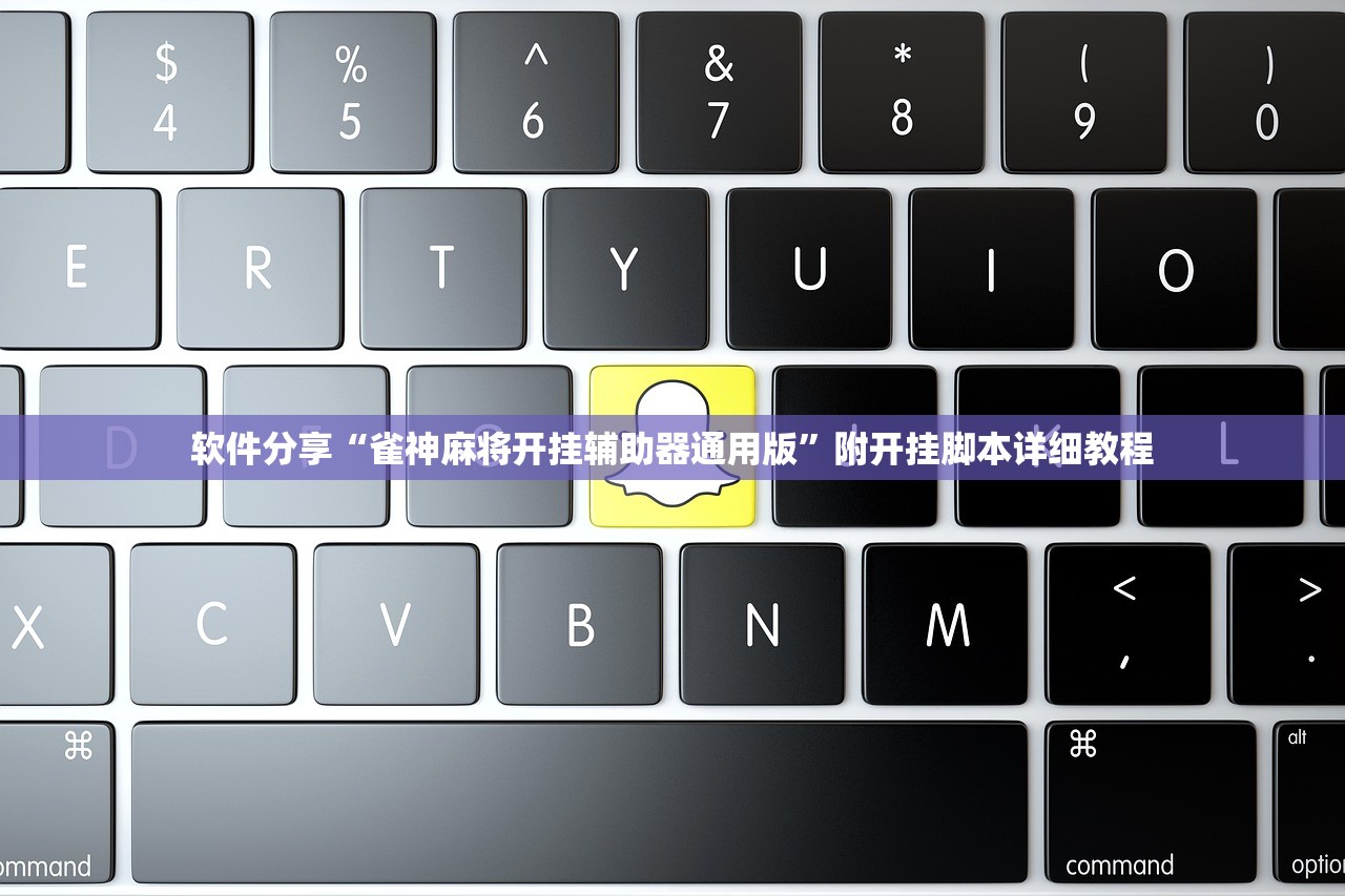 软件分享“雀神麻将开挂辅助器通用版”附开挂脚本详细教程