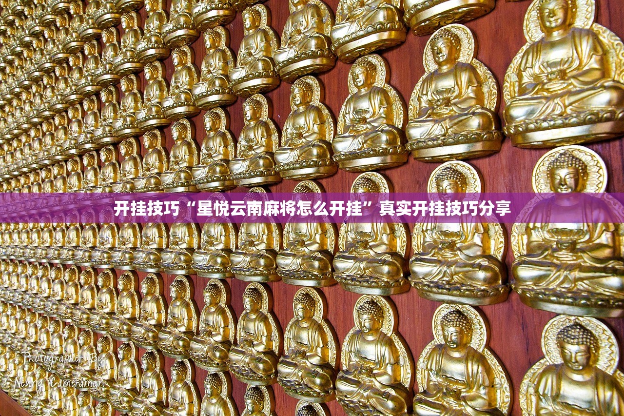 开挂技巧“星悦云南麻将怎么开挂”真实开挂技巧分享