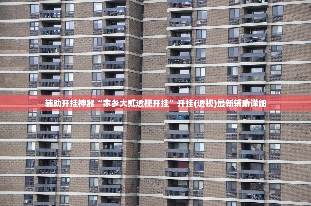 辅助开挂神器“家乡大贰透视开挂”开挂(透视)最新辅助详细