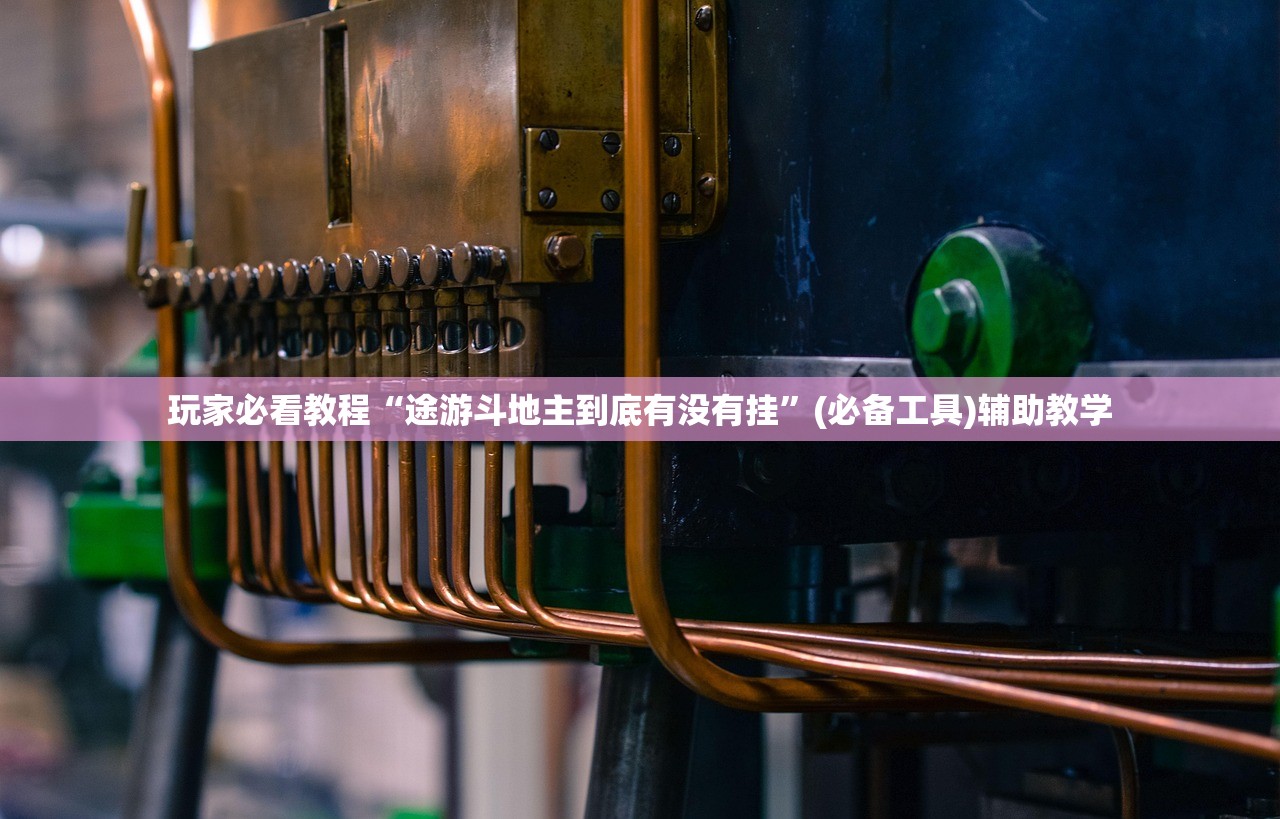 玩家必看教程“途游斗地主到底有没有挂	”(必备工具)辅助教学