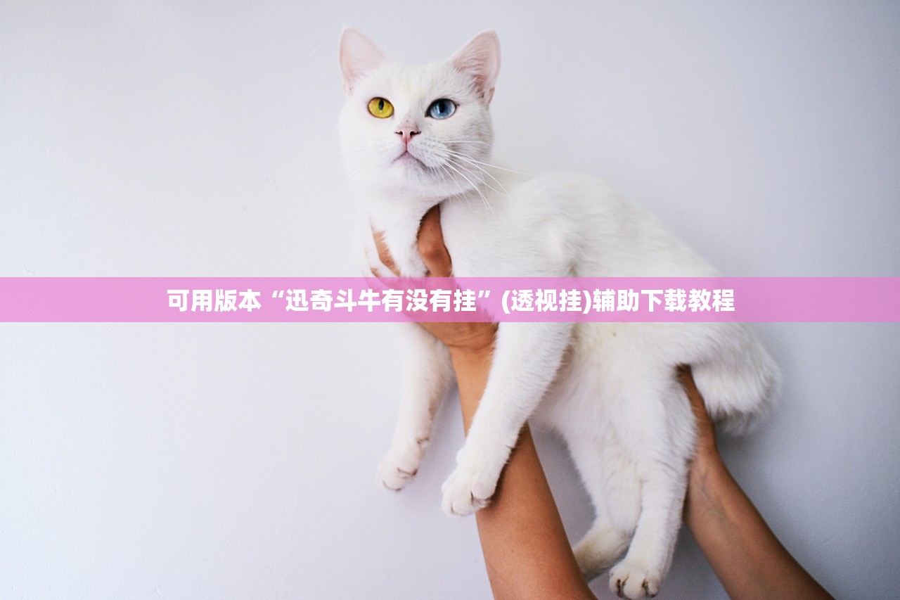 可用版本“迅奇斗牛有没有挂”(透视挂)辅助下载教程