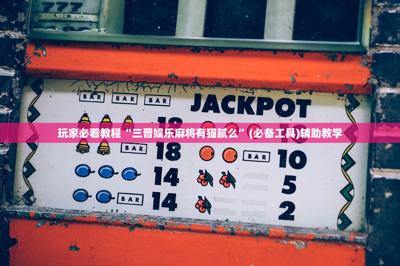 玩家必看教程“三晋娱乐麻将有猫腻么”(必备工具)辅助教学