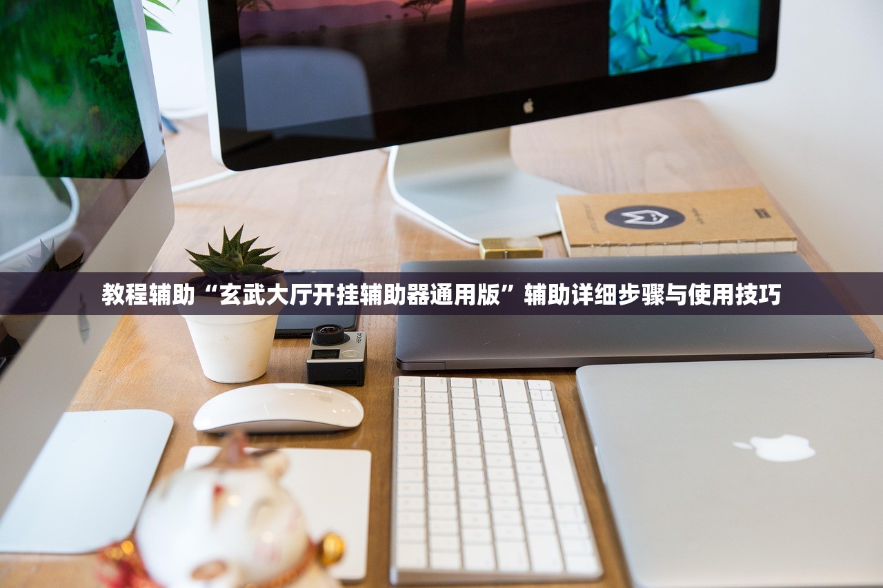 教程辅助“玄武大厅开挂辅助器通用版”辅助详细步骤与使用技巧