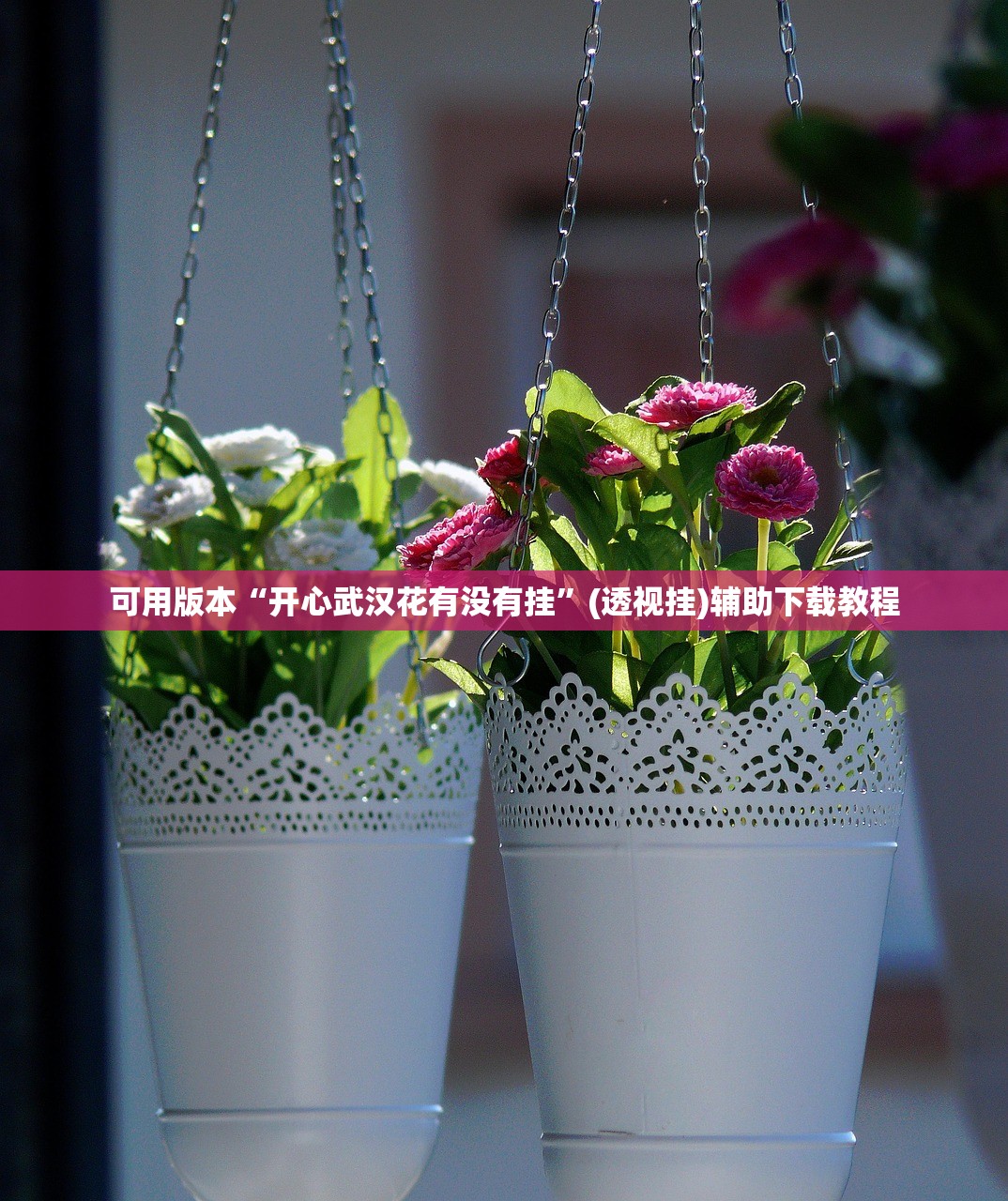可用版本“开心武汉花有没有挂”(透视挂)辅助下载教程