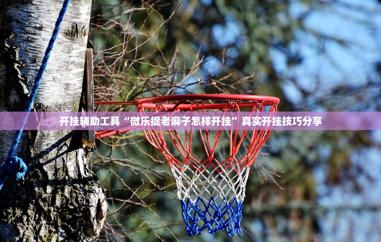 开挂辅助工具“微乐捉老麻子怎样开挂	”真实开挂技巧分享