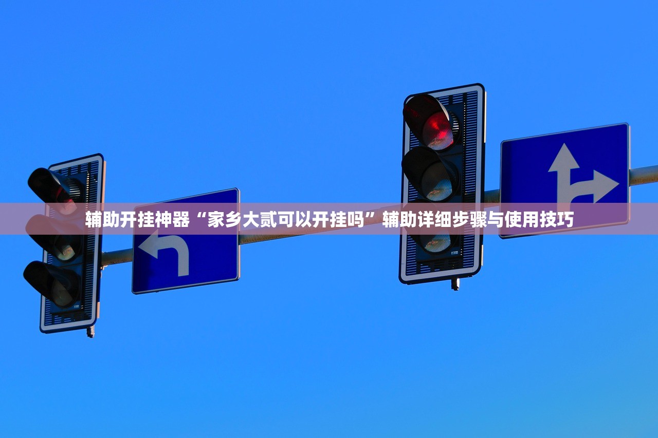 辅助开挂神器“家乡大贰可以开挂吗”辅助详细步骤与使用技巧