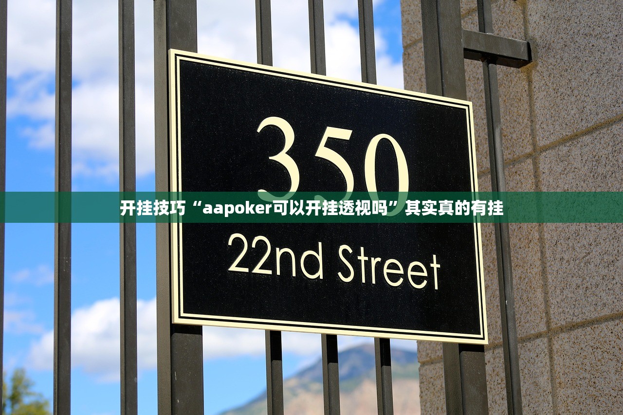 开挂技巧“aapoker可以开挂透视吗”其实真的有挂