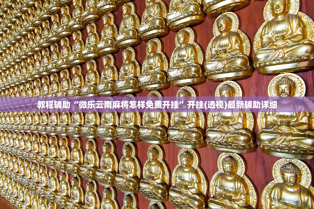 教程辅助“微乐云南麻将怎样免费开挂	”开挂(透视)最新辅助详细