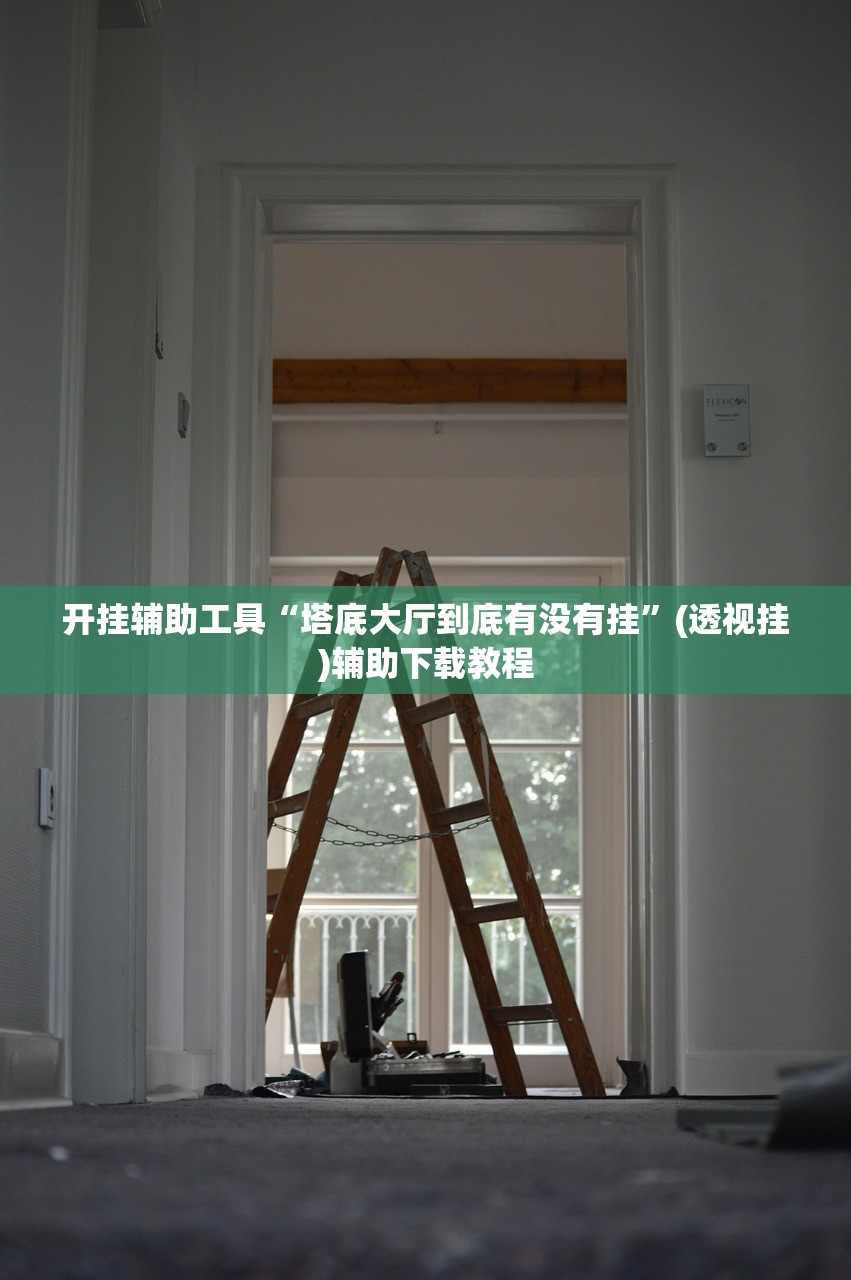 开挂辅助工具“塔底大厅到底有没有挂”(透视挂)辅助下载教程