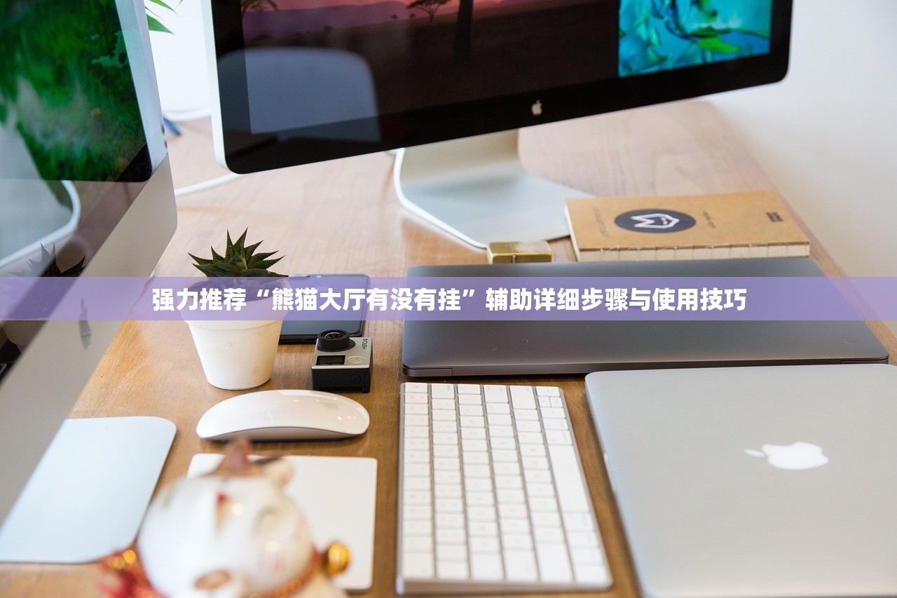 强力推荐“熊猫大厅有没有挂”辅助详细步骤与使用技巧