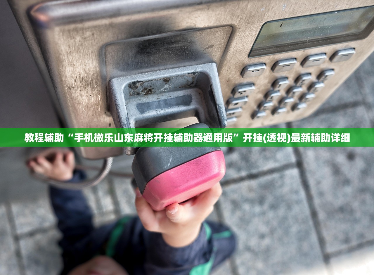 教程辅助“手机微乐山东麻将开挂辅助器通用版	”开挂(透视)最新辅助详细