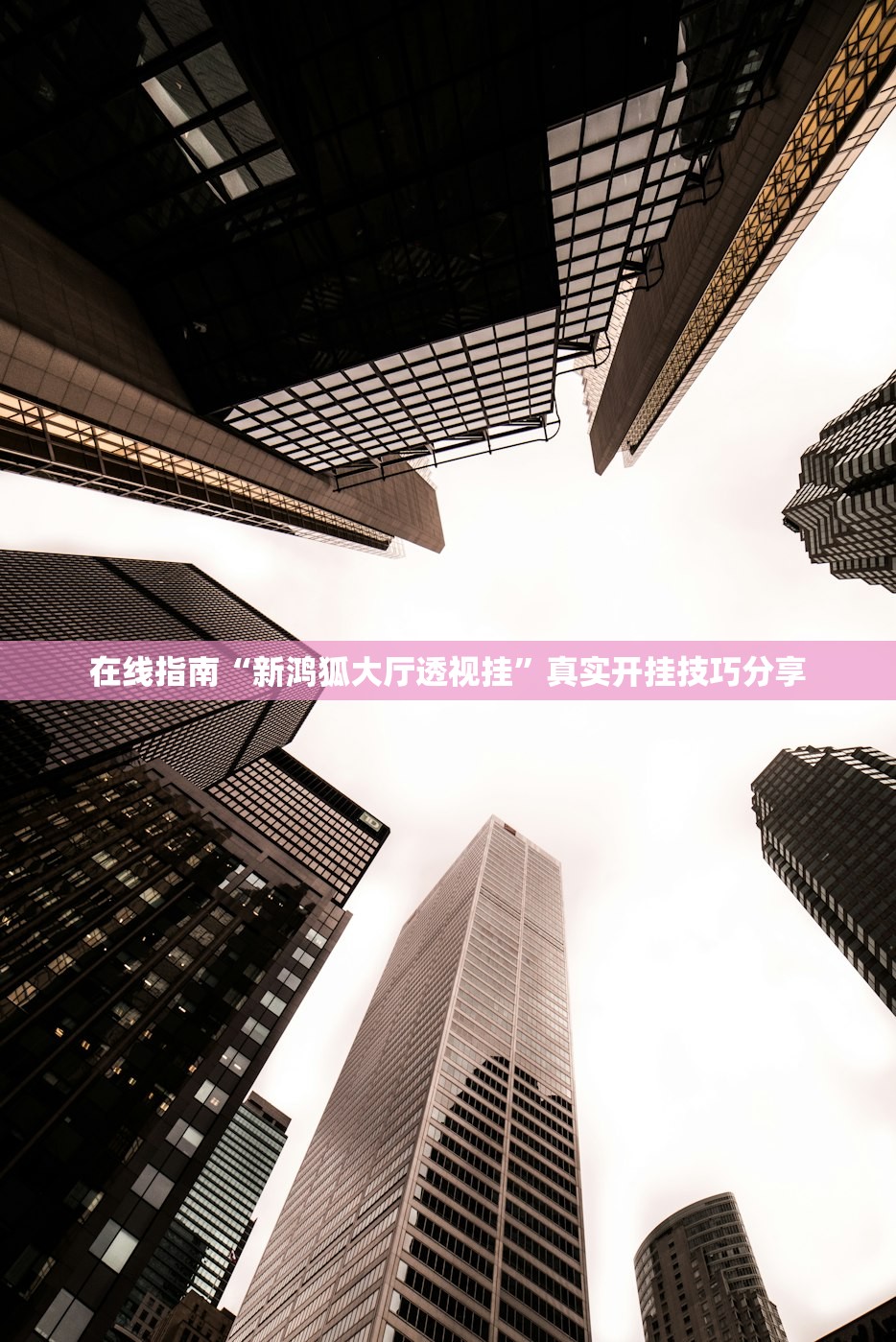 在线指南“新鸿狐大厅透视挂”真实开挂技巧分享
