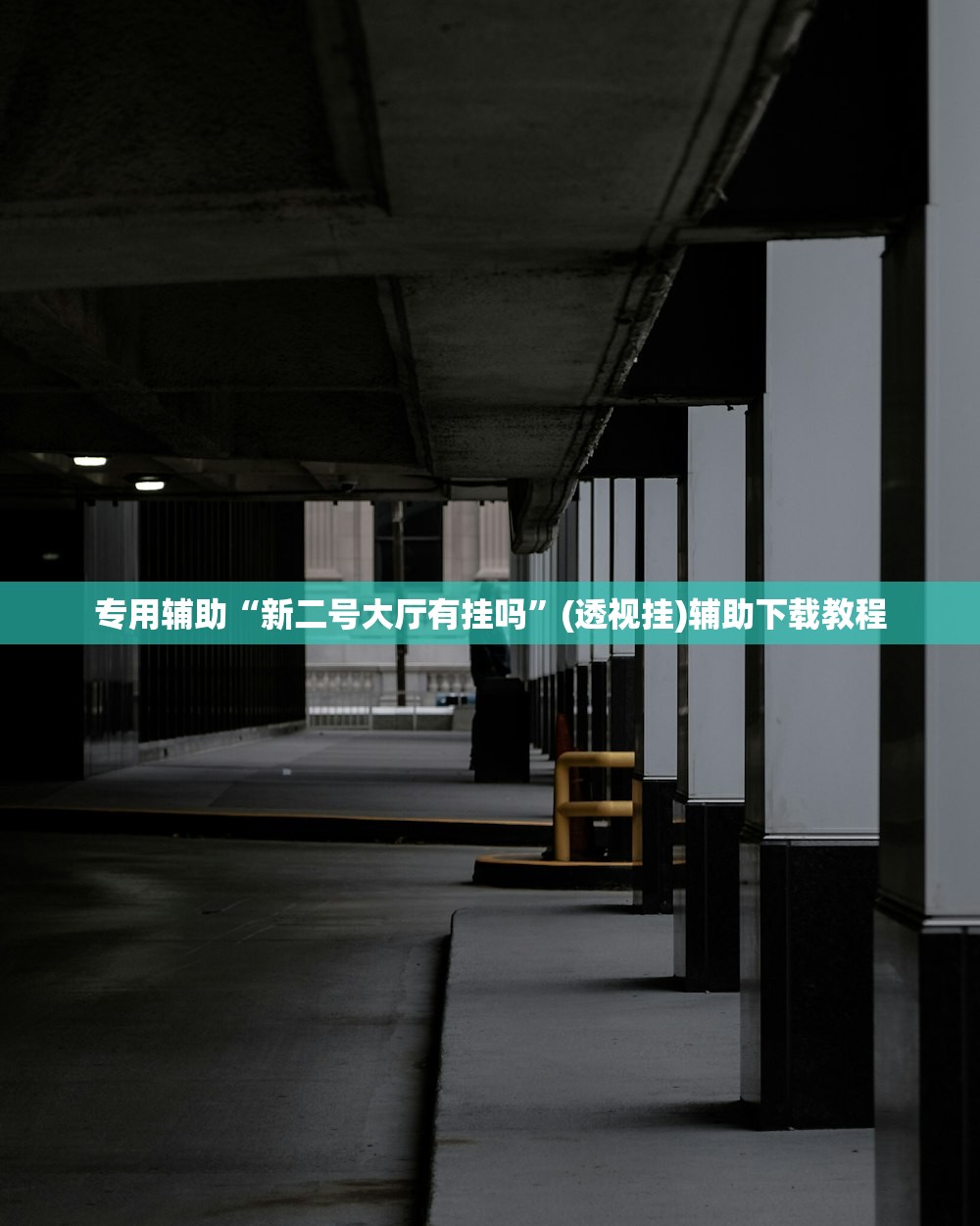 专用辅助“新二号大厅有挂吗	”(透视挂)辅助下载教程