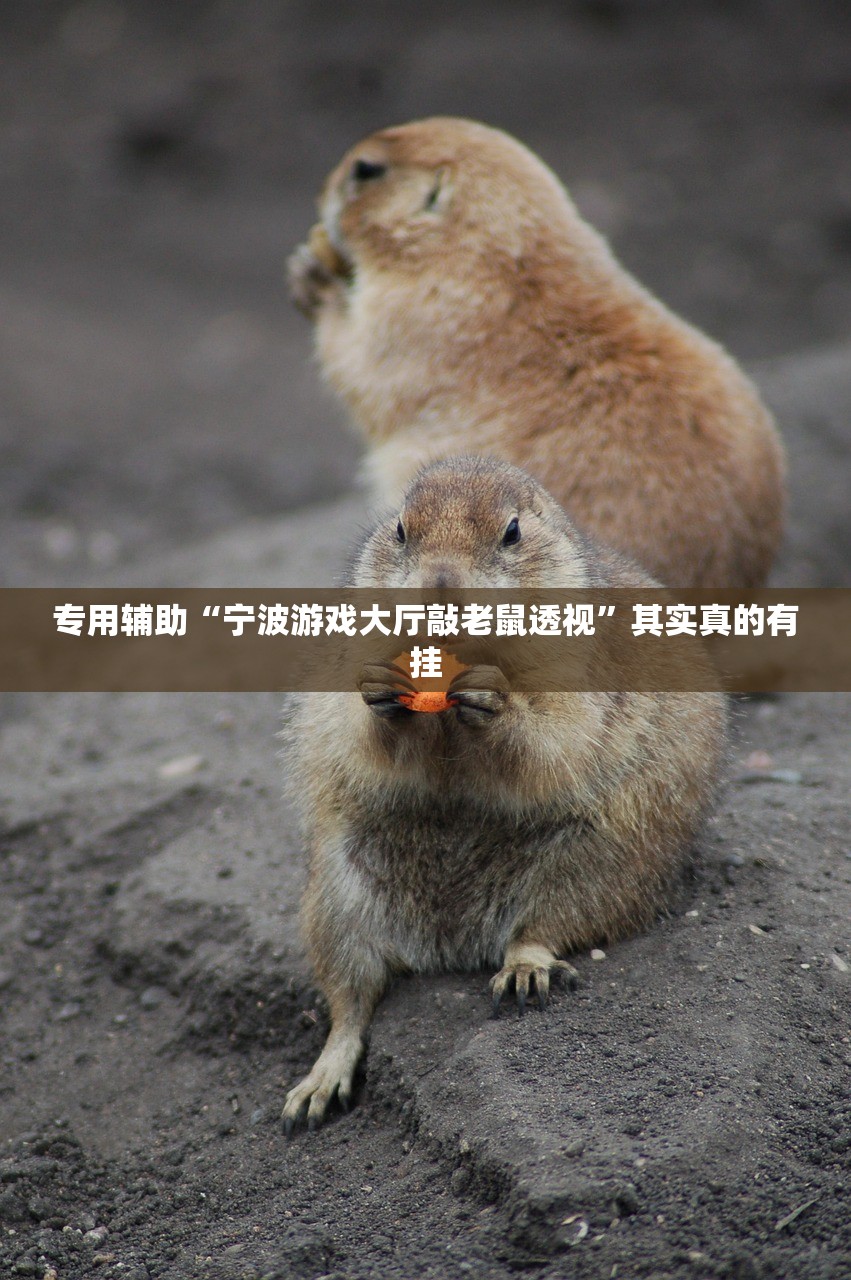 专用辅助“宁波游戏大厅敲老鼠透视”其实真的有挂