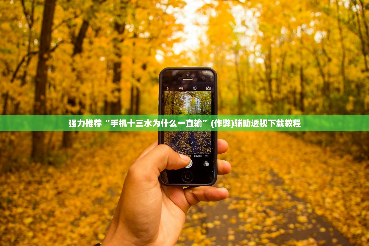 强力推荐“手机十三水为什么一直输”(作弊)辅助透视下载教程
