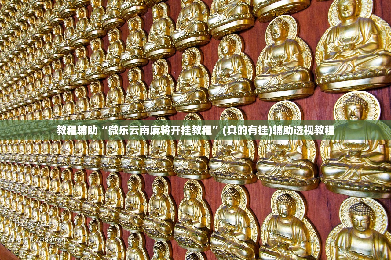 教程辅助“微乐云南麻将开挂教程	”(真的有挂)辅助透视教程
