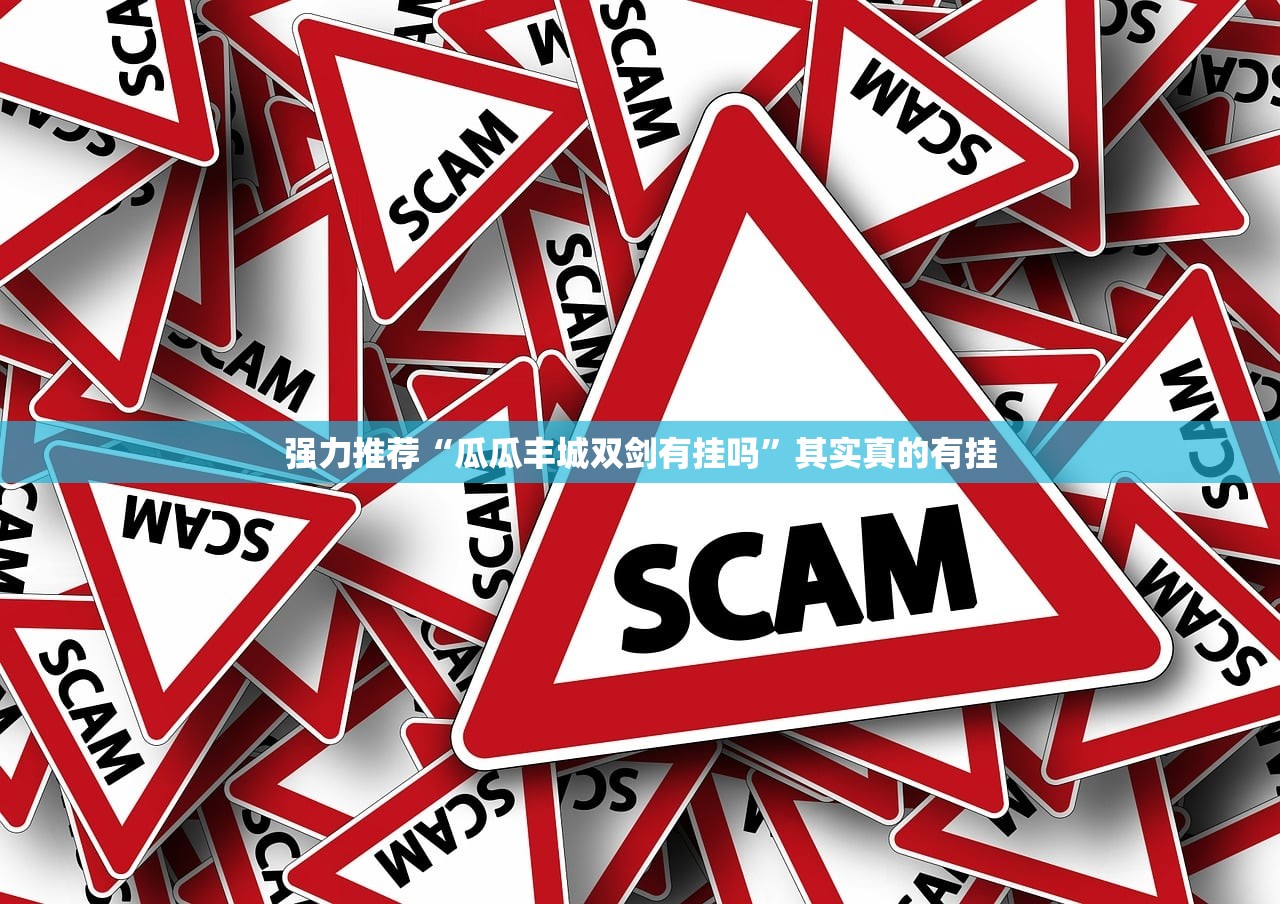 强力推荐“瓜瓜丰城双剑有挂吗”其实真的有挂