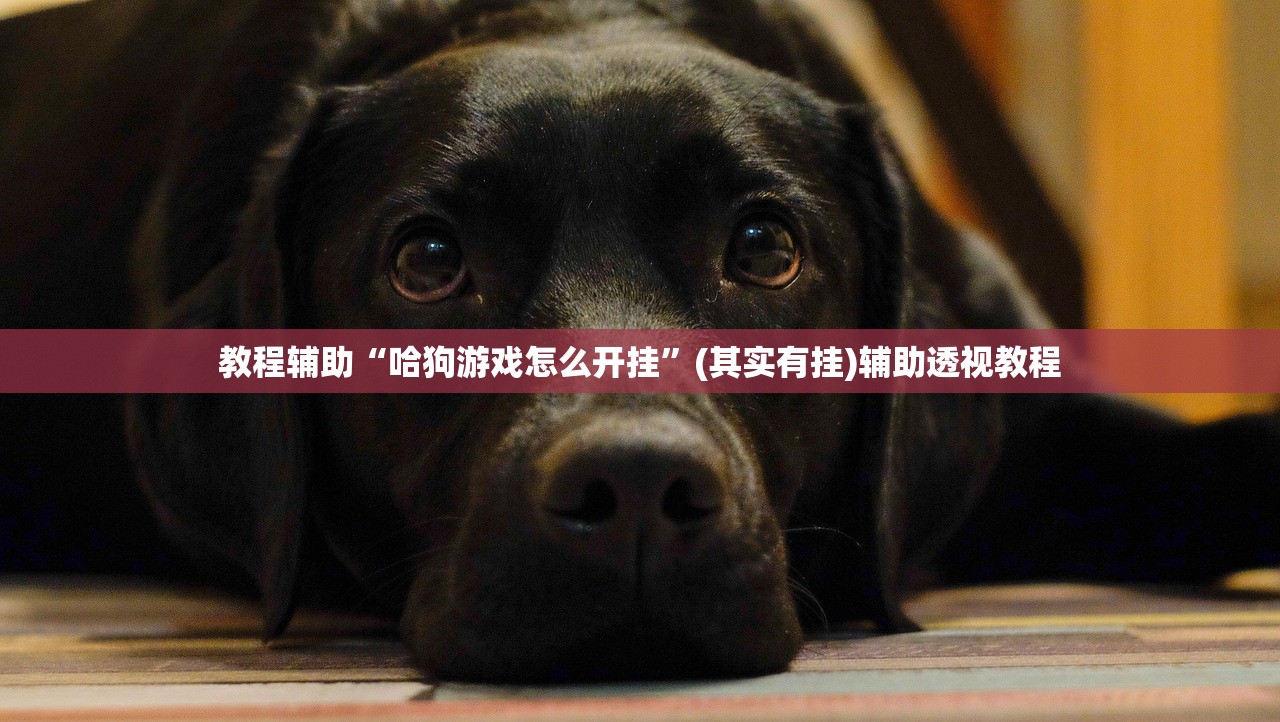 教程辅助“哈狗游戏怎么开挂”(其实有挂)辅助透视教程