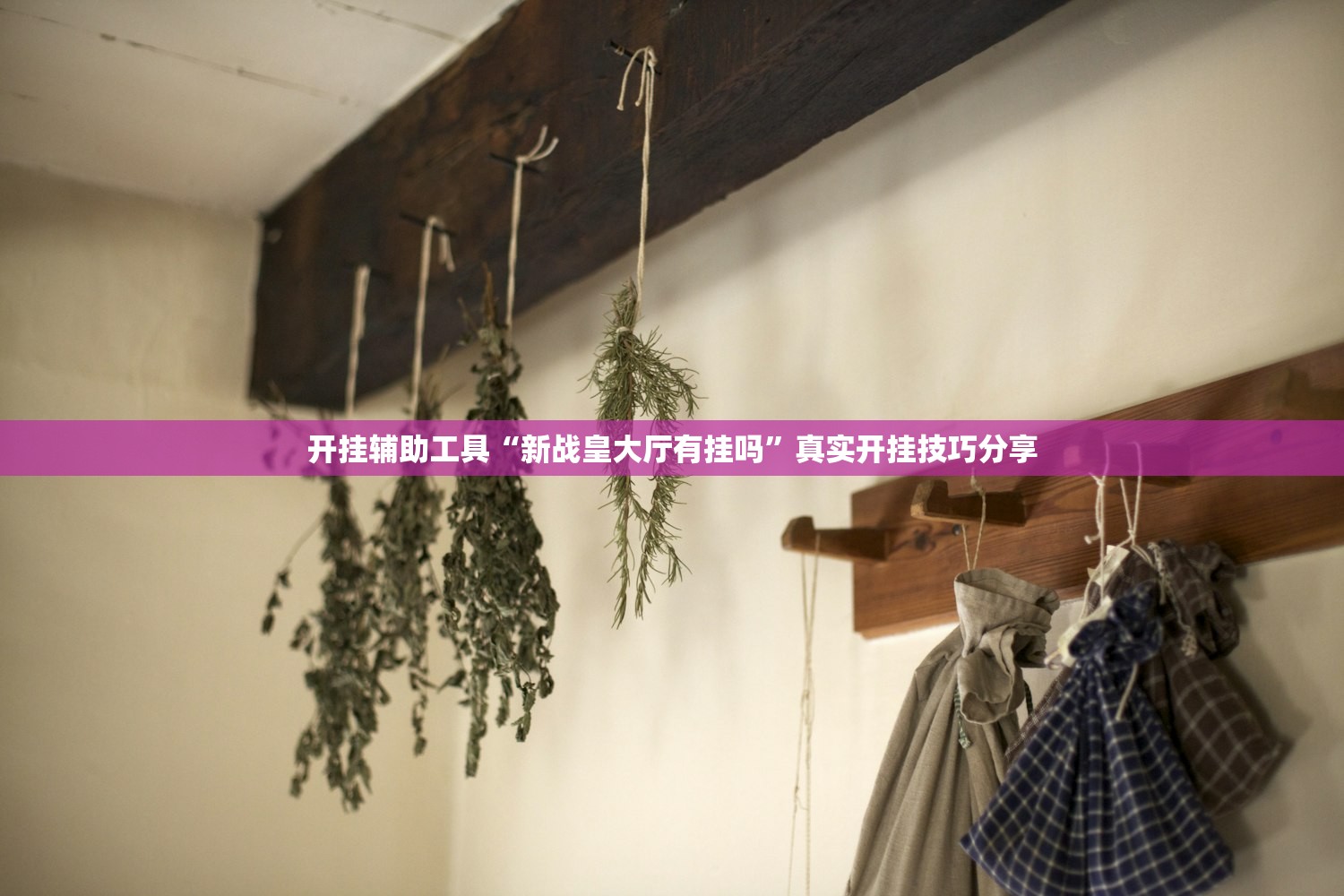 开挂辅助工具“新战皇大厅有挂吗”真实开挂技巧分享