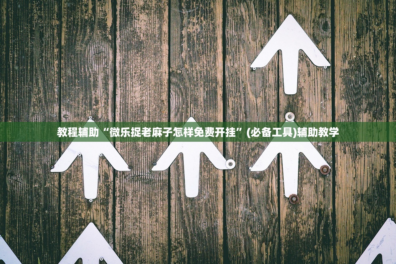 教程辅助“微乐捉老麻子怎样免费开挂”(必备工具)辅助教学