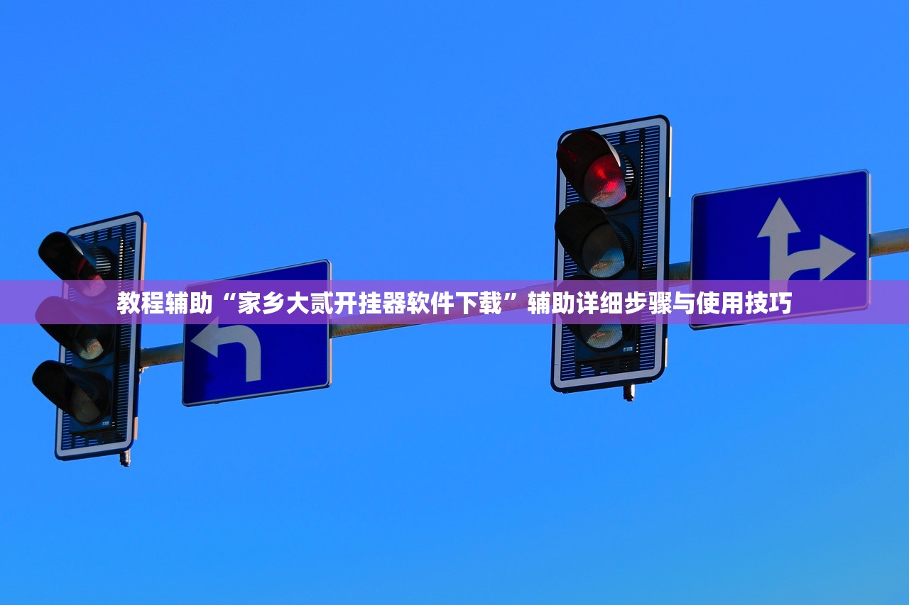 教程辅助“家乡大贰开挂器软件下载	”辅助详细步骤与使用技巧