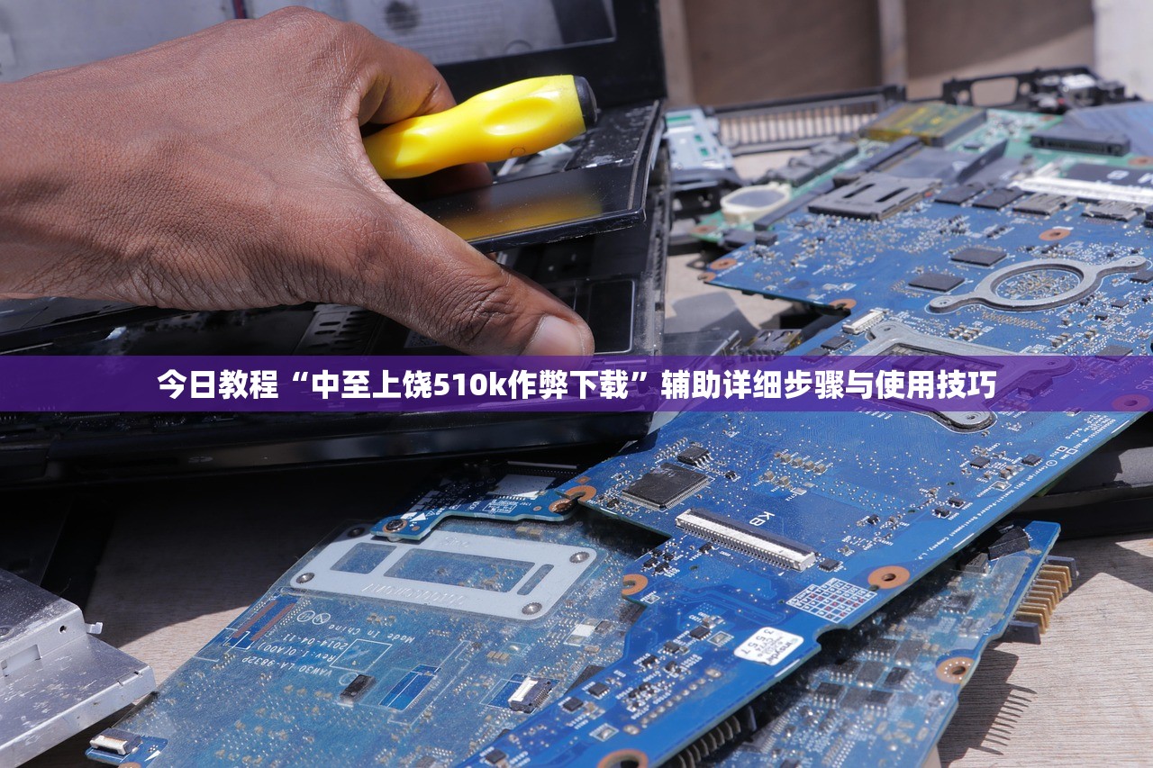 今日教程“中至上饶510k作弊下载	”辅助详细步骤与使用技巧