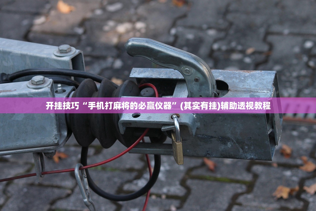 开挂技巧“手机打麻将的必赢仪器”(其实有挂)辅助透视教程