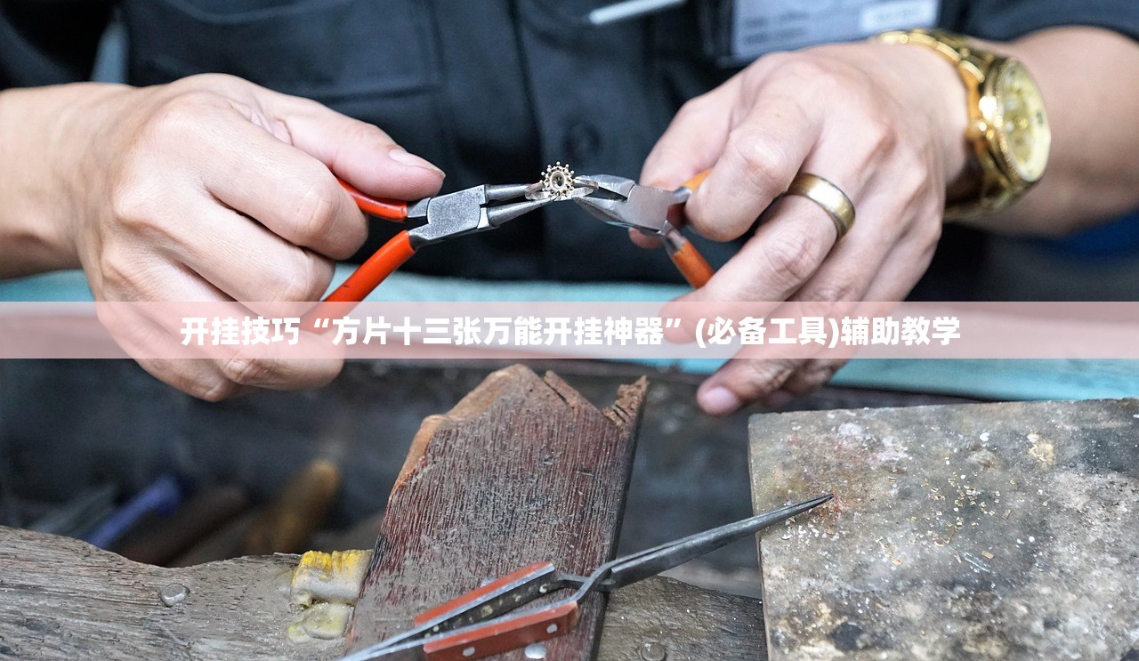 开挂技巧“方片十三张万能开挂神器”(必备工具)辅助教学