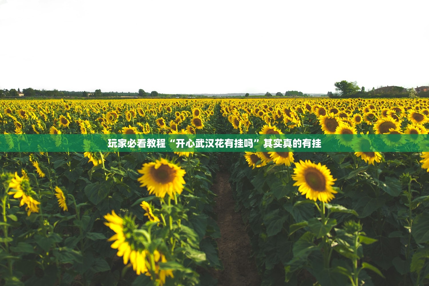 玩家必看教程“开心武汉花有挂吗”其实真的有挂