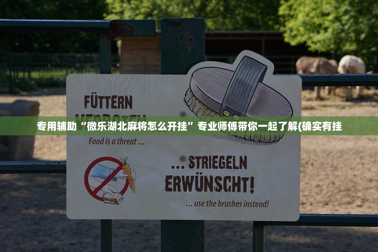专用辅助“微乐湖北麻将怎么开挂	”专业师傅带你一起了解(确实有挂