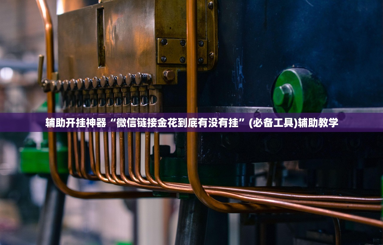 辅助开挂神器“微信链接金花到底有没有挂	”(必备工具)辅助教学