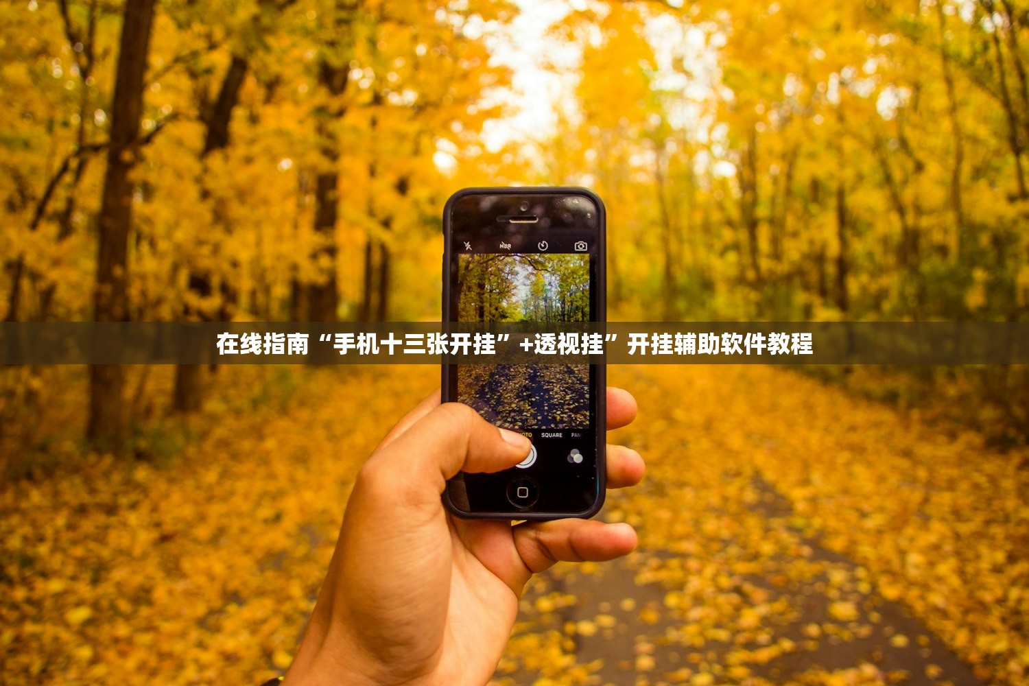 在线指南“手机十三张开挂	”+透视挂”开挂辅助软件教程