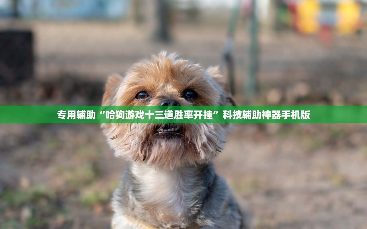 专用辅助“哈狗游戏十三道胜率开挂”科技辅助神器手机版