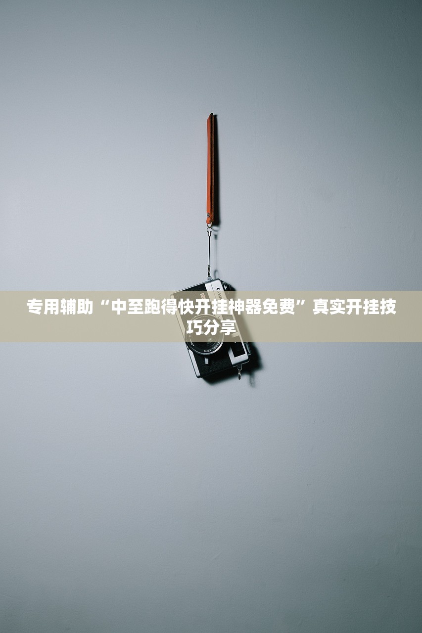 专用辅助“中至跑得快开挂神器免费”真实开挂技巧分享