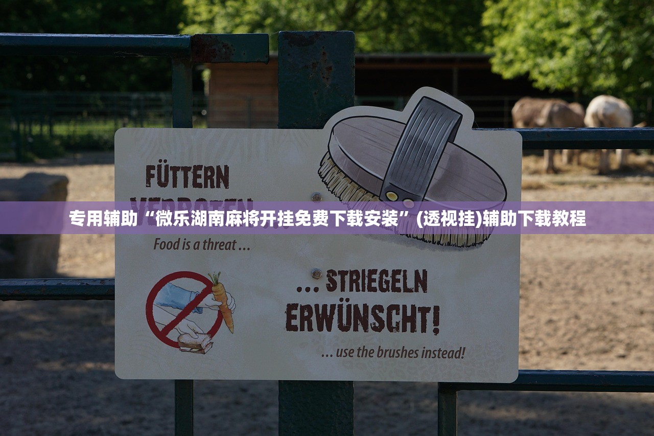 专用辅助“微乐湖南麻将开挂免费下载安装”(透视挂)辅助下载教程