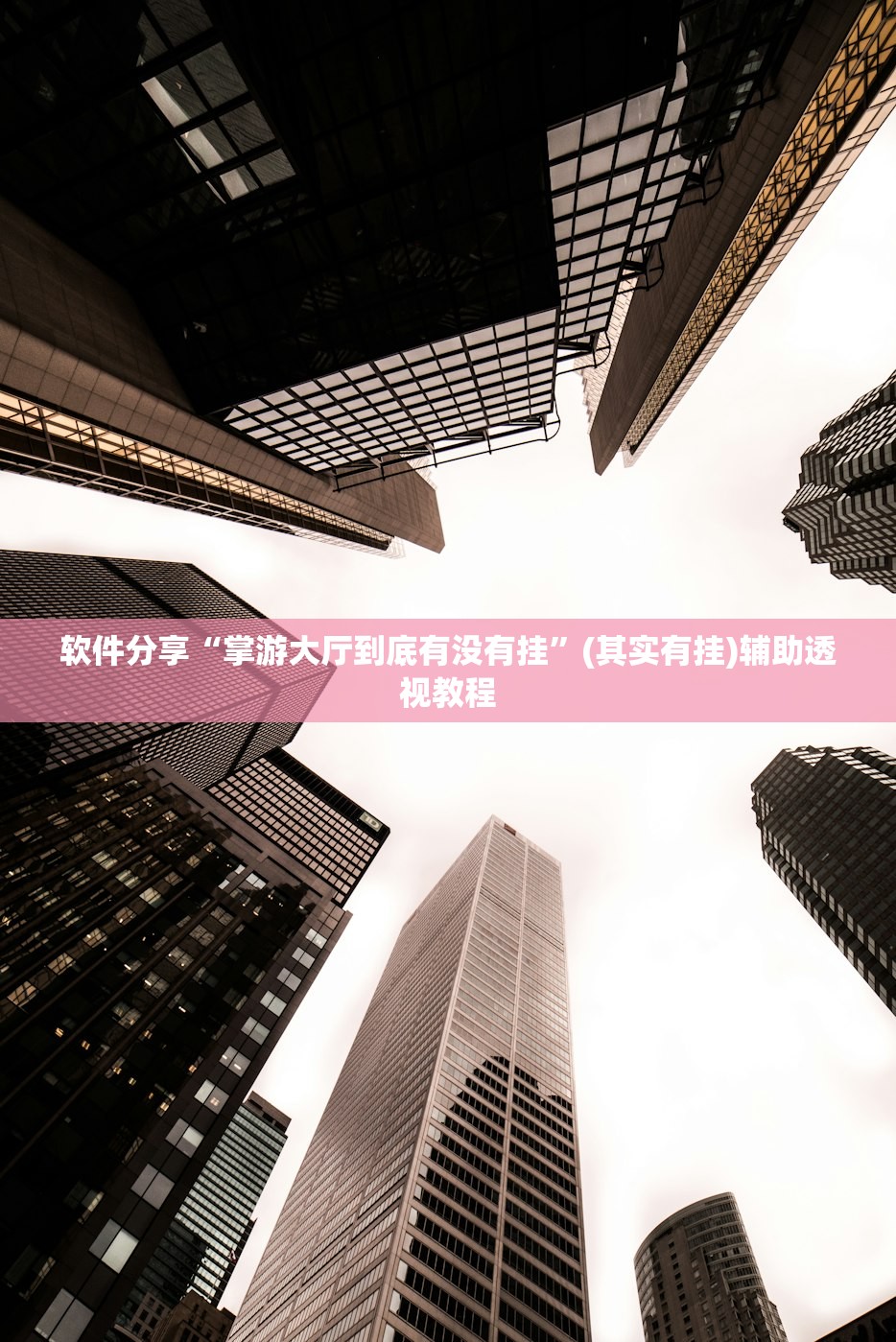 软件分享“掌游大厅到底有没有挂	”(其实有挂)辅助透视教程